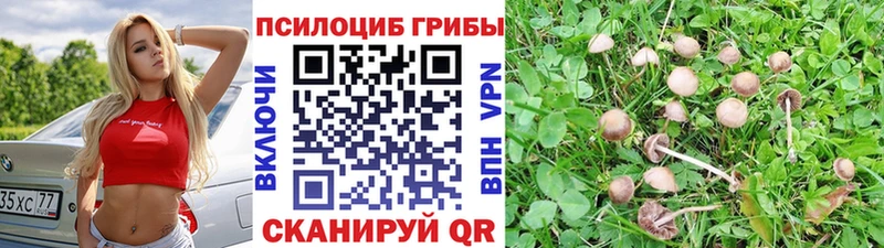 это телеграм  где продают наркотики  Холм  Галлюциногенные грибы прущие грибы 